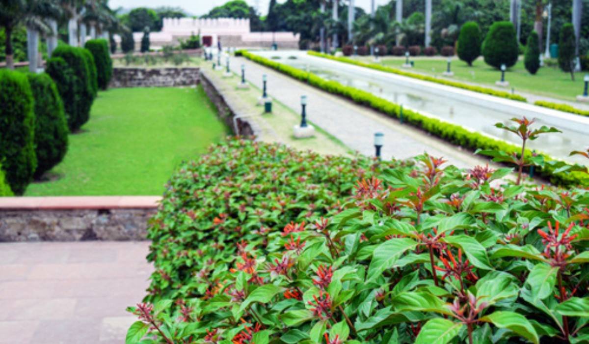 What are the main attractions of Pinjore Gardens?