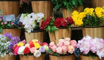 Choose birth flower by date for your home décor