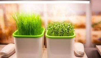 Grow lights for indoor gardens
