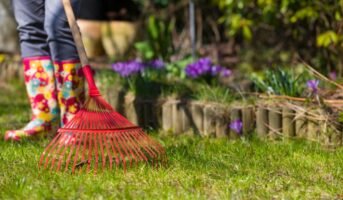 Spring lawn care tips to keep your outdoor space in top shape