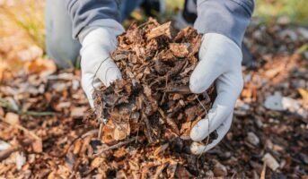 Types of Mulching and their benefits