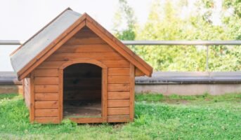 Dog house design ideas and DIY construction guide