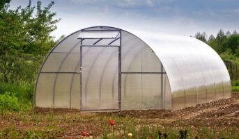 How to build a greenhouse at home?