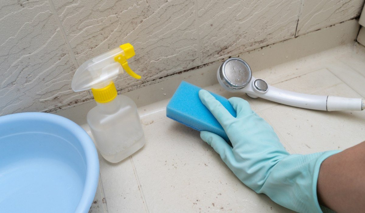 How to clean mould in bathrooms and kitchen?