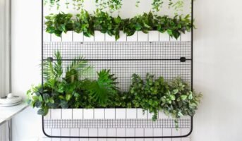 How to create a vertical garden in small spaces?