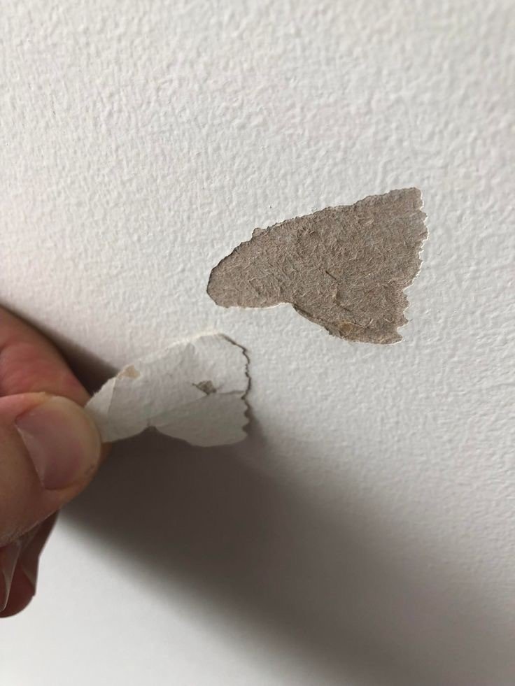 How to paint patches on walls?