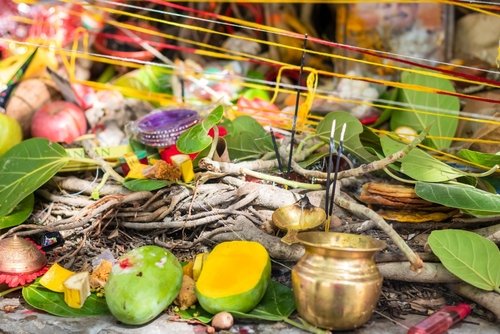 Significance and rituals of Vat Savitri Purnima Vrat