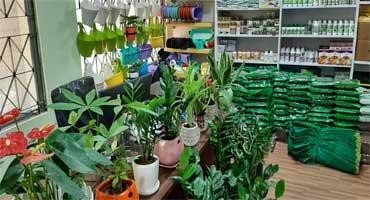 Top 10 garden centres and nurseries in Bangalore