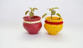 Top 5 plants as Raksha Bandhan gift