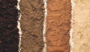 What are the different types of soils?