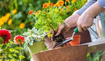 How is gardening beneficial for mental health, overall well-being?