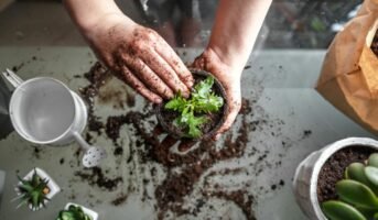 5 gardening hacks for easy plant care