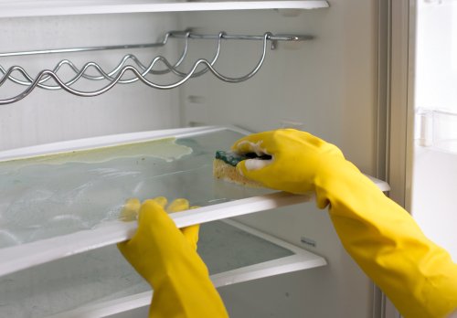 How to clean a fridge at home?