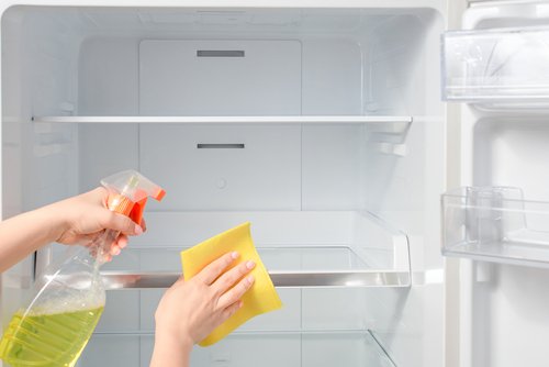 How to clean a fridge at home?