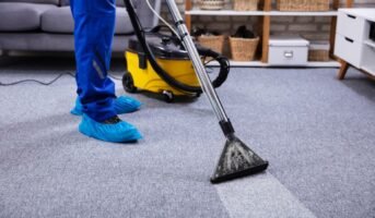 How to get rid of carpet beetles using DIY techniques?