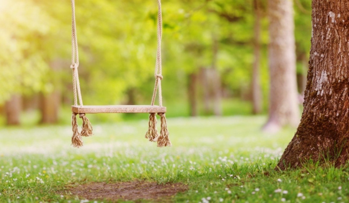 https://housing.com/news/wp-content/uploads/2023/09/How-to-make-a-tree-swing-using-a-rope-f.jpg