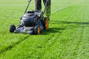 Need my lawn mowed today clearance
