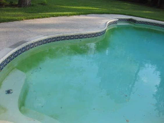 How to remove algae from swimming pool?