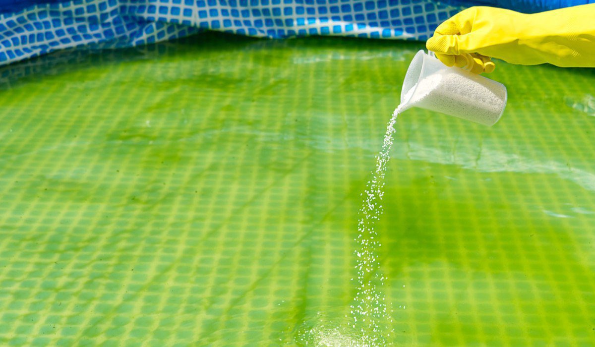 How to remove algae from a swimming pool?