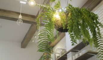 How to hang plants from the ceiling?