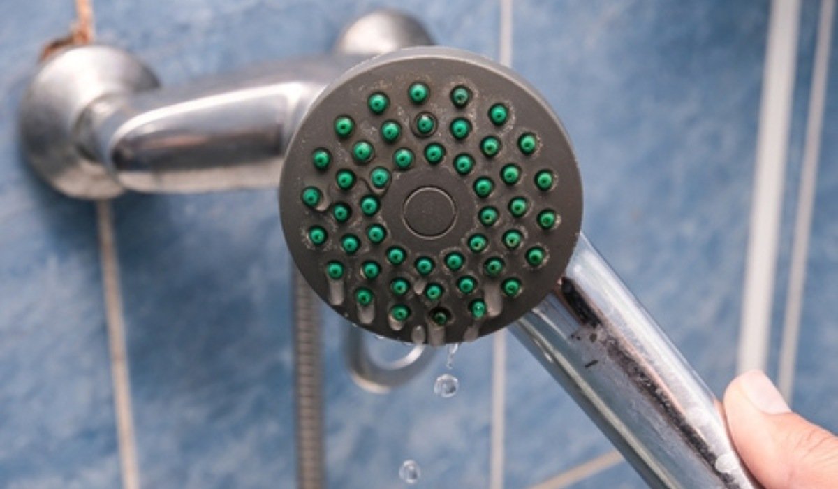 Advice on cleaning a clogged showerhead? : r/CleaningTips