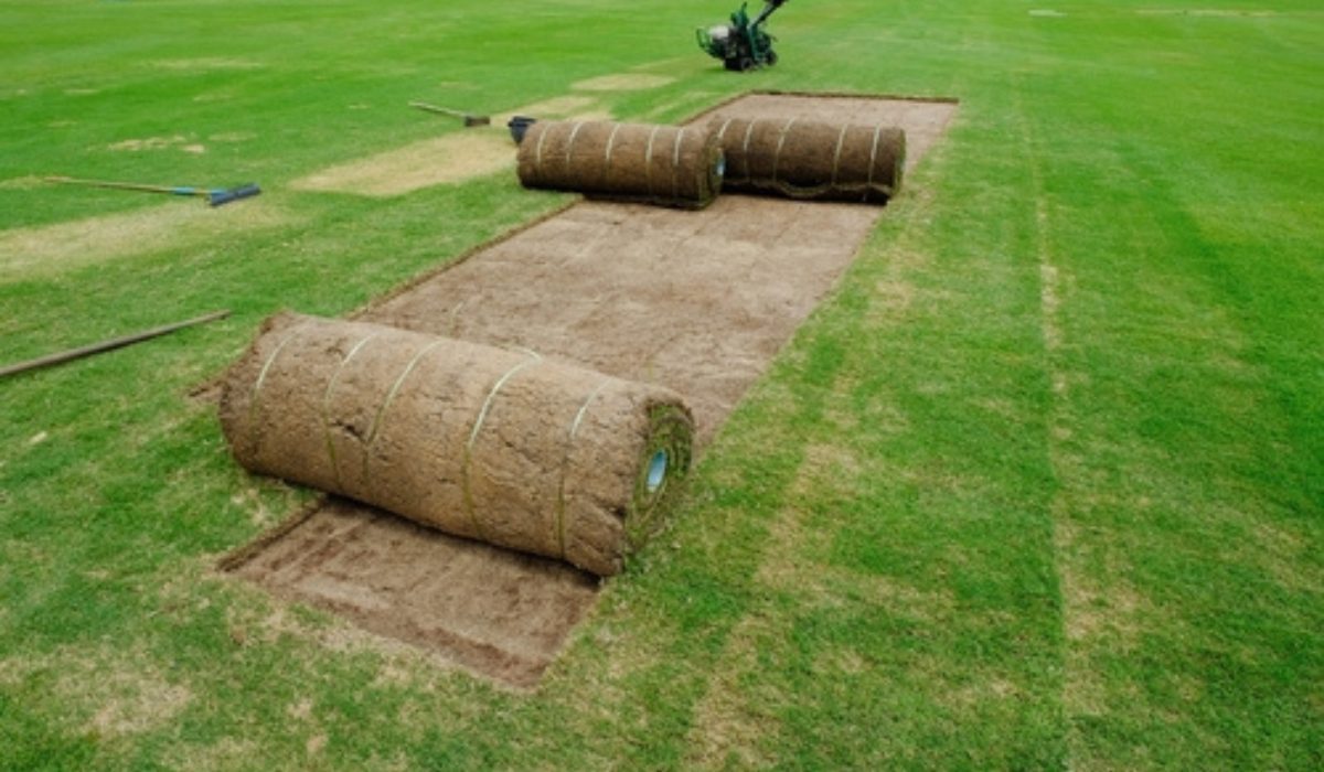 Stepwise putting green installation process