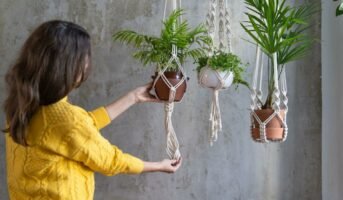 Indoor hanging plants: Care guide for green enthusiasts