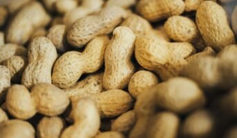 How to grow and care for peanut plant?