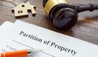 What is a partition suit? When is it filed?