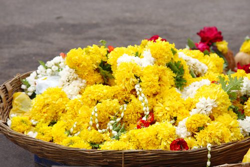 satyanarayan-katha-puja-vidhi