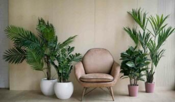 10 must-have tropical indoor plants to elevate your decor