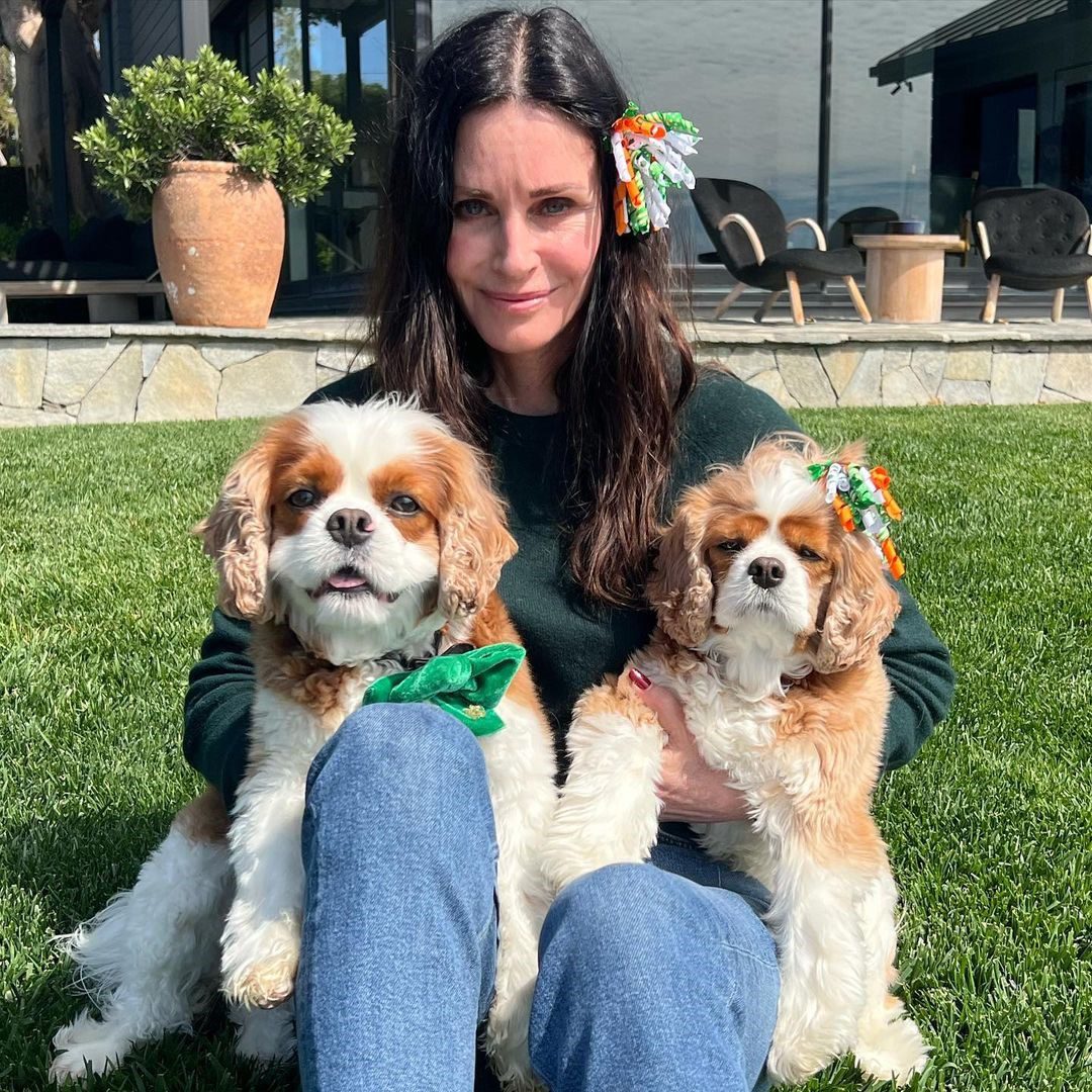 Top 9 ways to keep your house clean when you have a dog