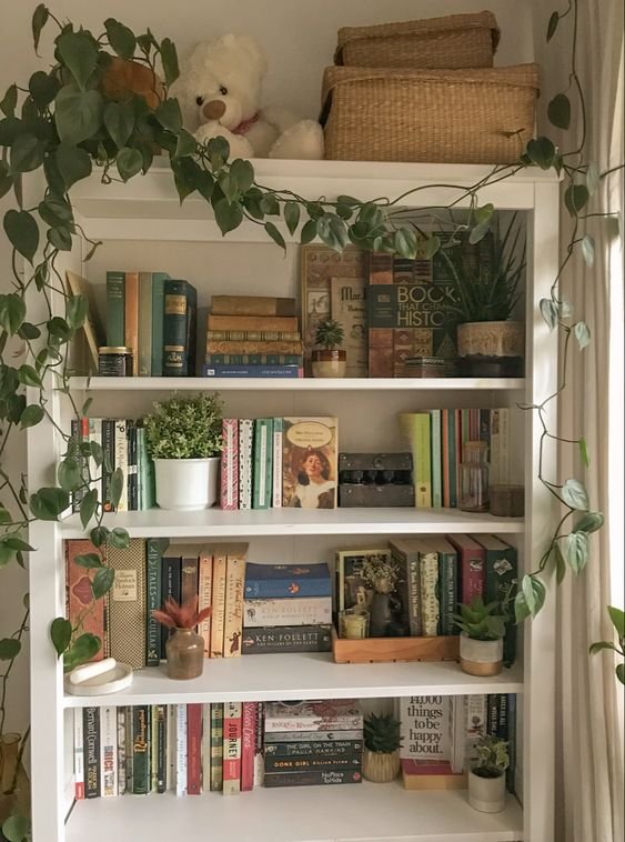 bookshelf with plant decor