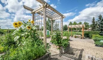 Stunning trellis ideas to elevate your garden decor