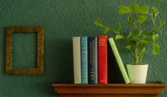 Plants to place on your bookshelf for a refreshing feel