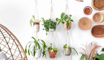 How to elevate your balcony decor with hanging plants?