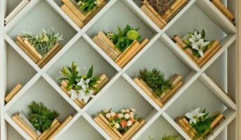 5 plants for your bookshelf