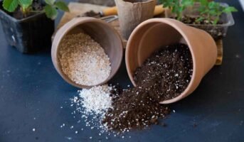 A step-by-step guide to understanding potting mix and potting soil