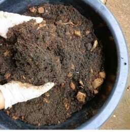 potting mix and potting soil