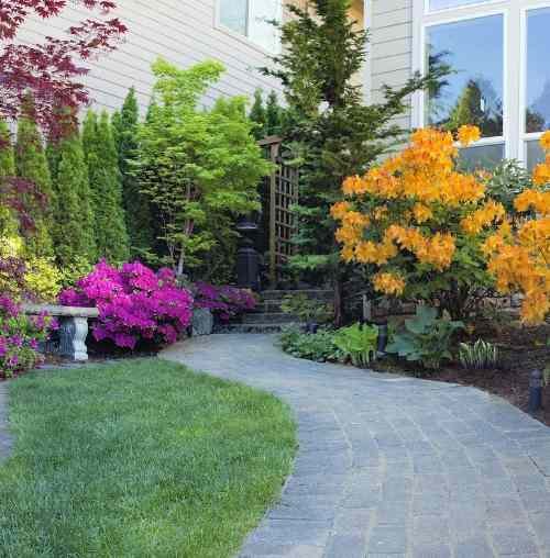 5 frontyard designs ideas for your home