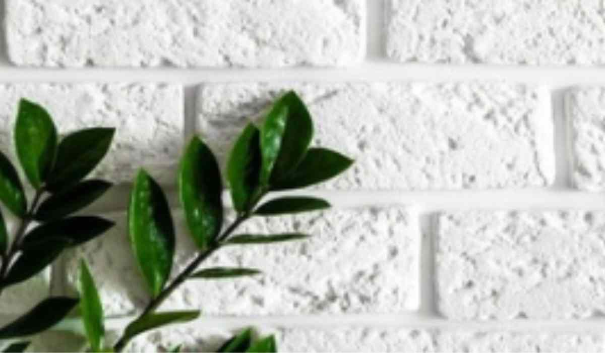 How to add dimension and textures to your walls?