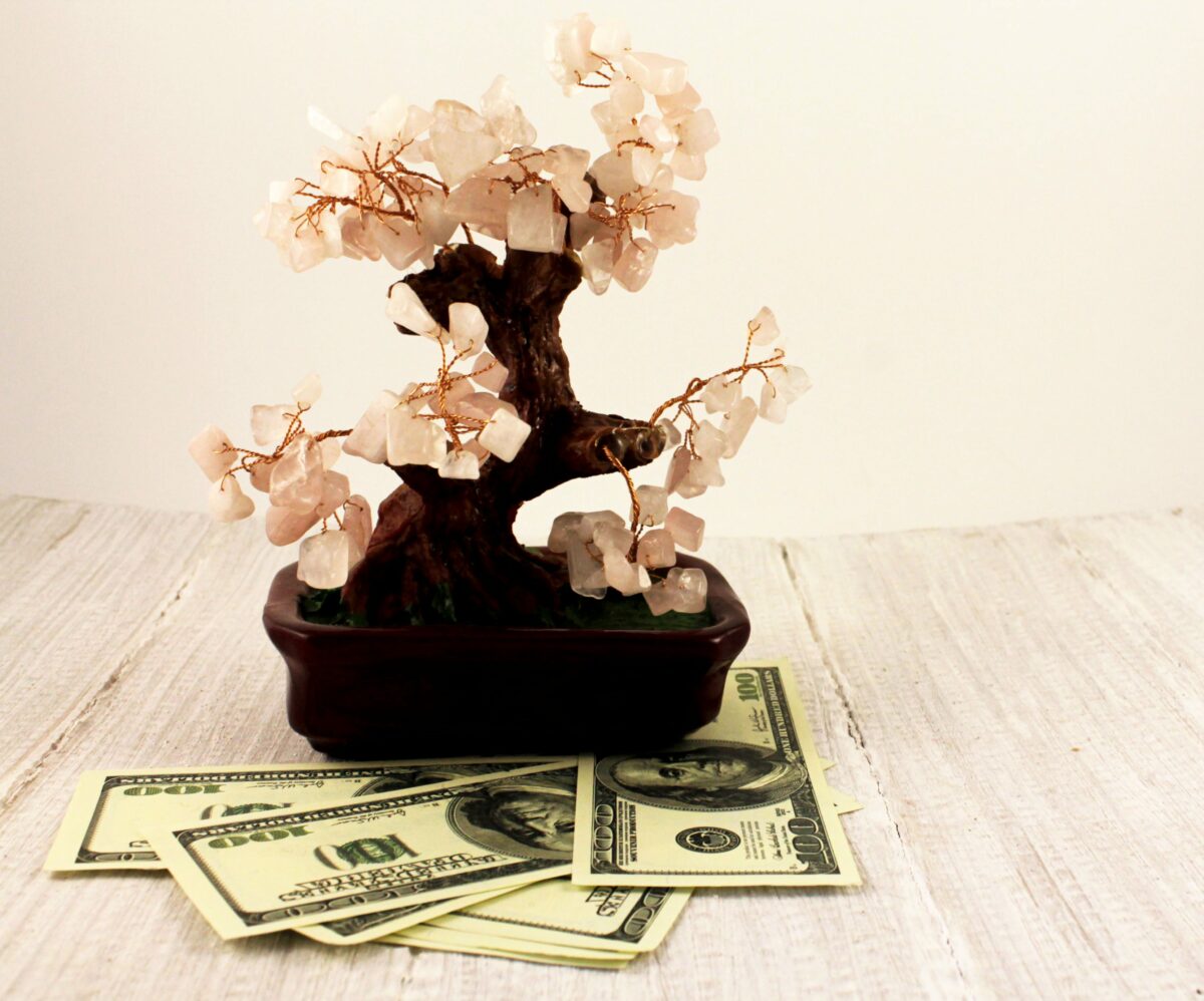 Feng Shui Money Tree At Front Door Meaning housing.com