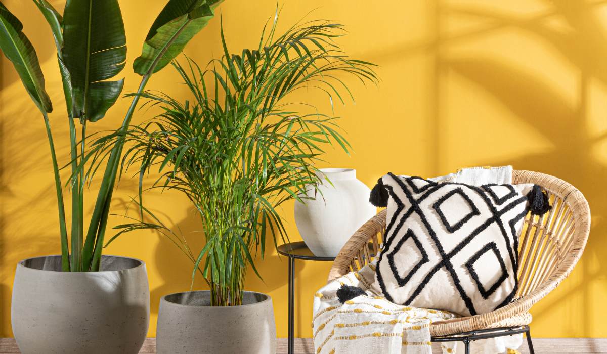 Accent decor ideas using plants for a refreshing space